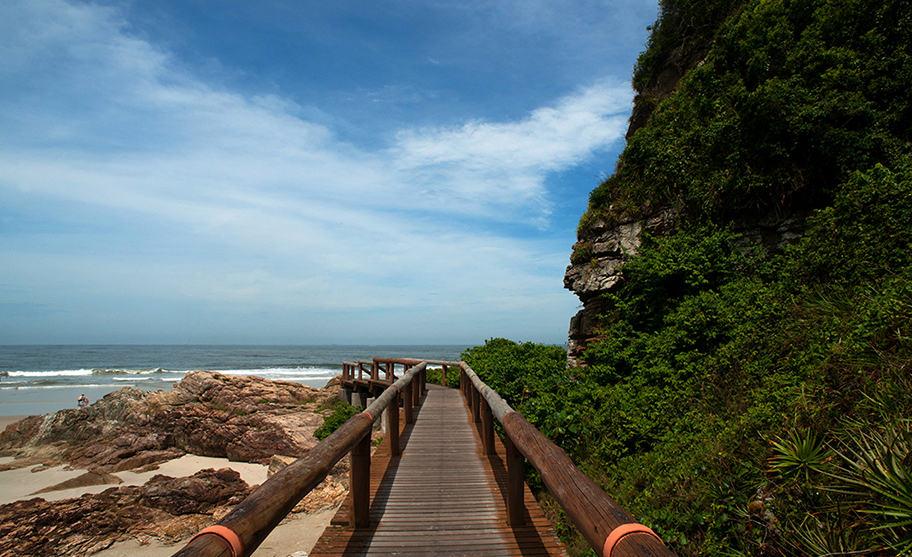 Passarela de madeira levando até a Gruta das Encantadas, cercada por vegetação e vista para o mar.