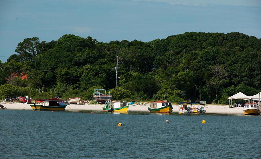Vista aérea da Praia de Brasília, com faixa de areia extensa e mar sereno na Ilha do Mel.